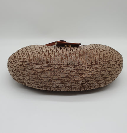 Dior Street chic denim hobo bag