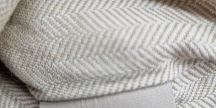 Loewe paula cloth crossbody bag