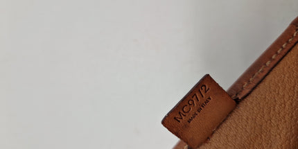 Celine triomphe crossbody bag