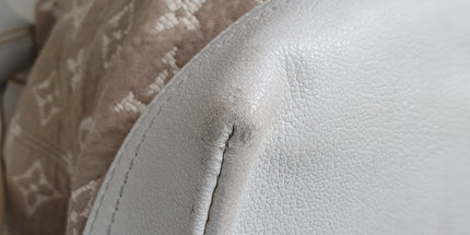 Louis vuitton cloth bag