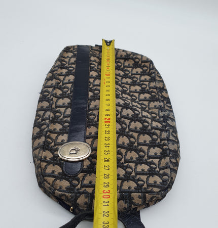 Dior monogram crossbody denim vintage bag