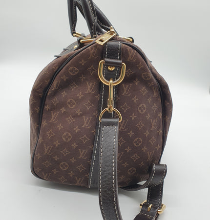 Louis vuitton speedy bandoulier crossbody handbag