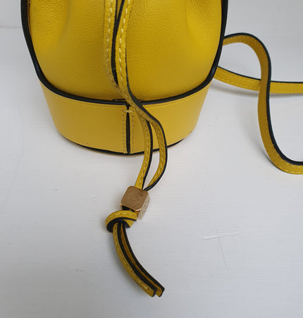 Loewe balloon mini crossbody bag