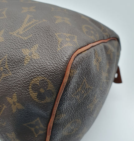 Louis Vuitton Speedy 25 cm