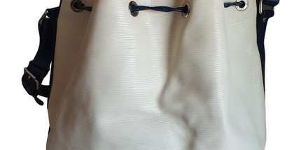 Louis Vuitton neo bucket bag