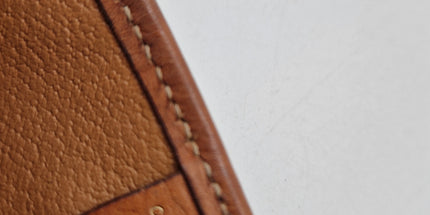 Celine triomphe crossbody bag