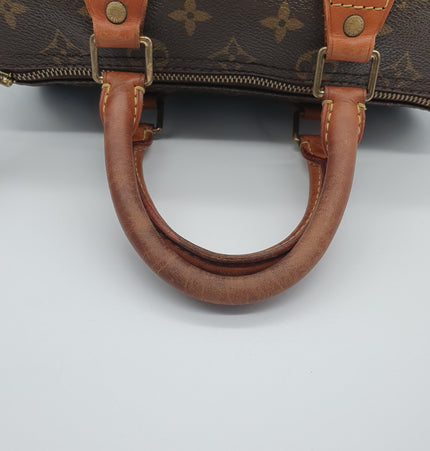 Louis Vuitton Speedy 25 cm
