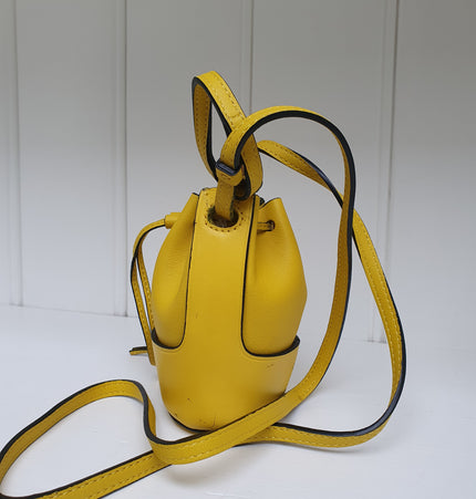 Loewe balloon mini crossbody bag