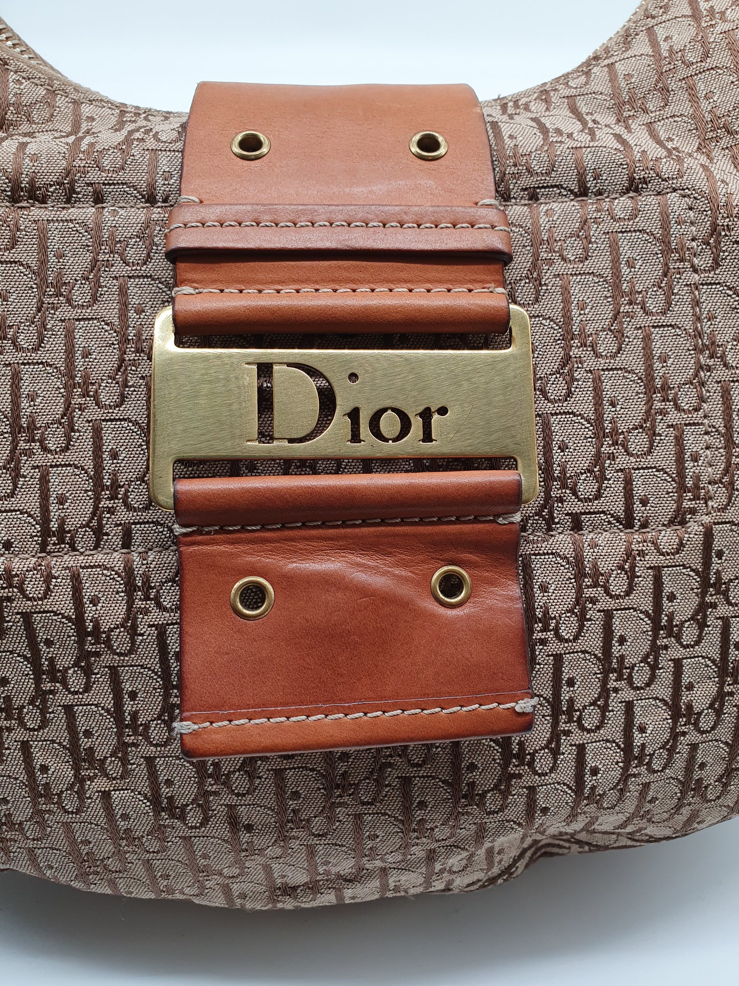 Dior Street chic hobo bag