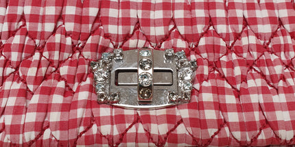 Miu miu crystal striped crossbody bag