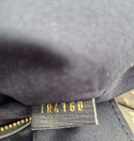 Louis vuitton cloth shoulder bag