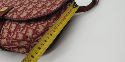 Dior monogram vintage denim crossbody bag