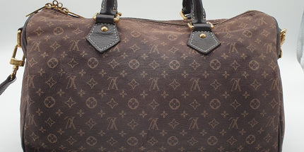 Louis vuitton speedy bandoulier crossbody handbag