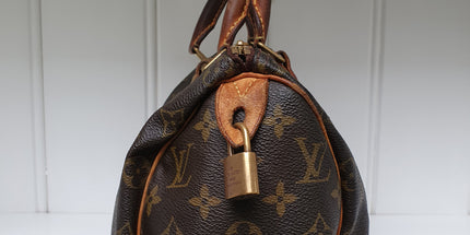 Louis vuitton speedy 25 hand bag