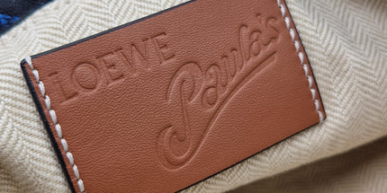Loewe paula cloth crossbody bag