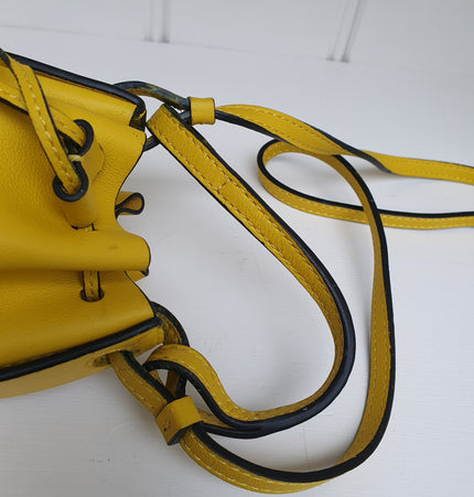 Loewe balloon mini crossbody bag
