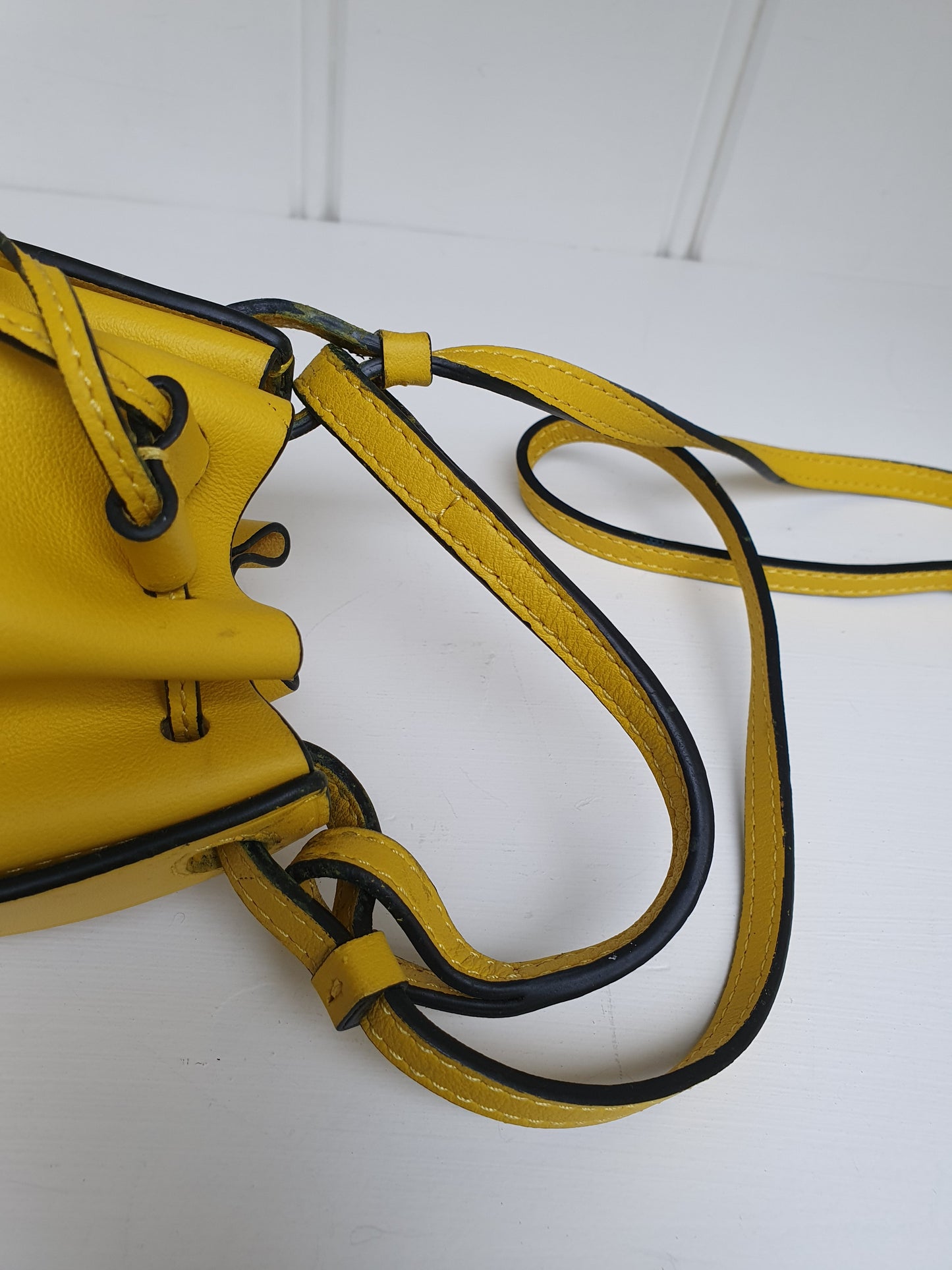 Loewe balloon mini crossbody bag