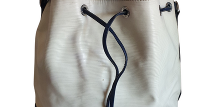 Louis Vuitton neo bucket bag