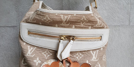 Louis vuitton cloth bag