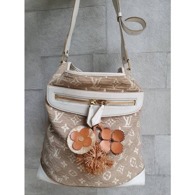 Louis vuitton cloth bag