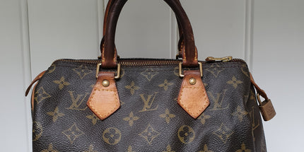 Louis vuitton speedy 25 hand bag