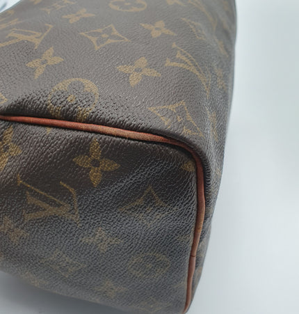 Louis Vuitton Speedy 25 cm