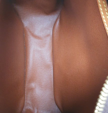 Louis vuitton blois crossbody bag