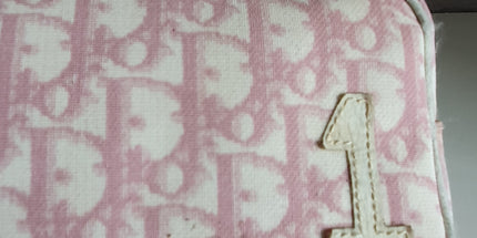 Dior trotter pouch with added chain strap