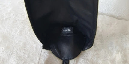 DIOR lady dior transparent  pvc handbag